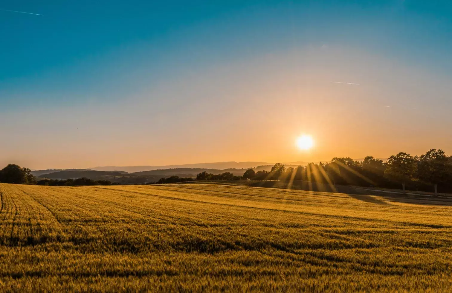 Farm field sunrise