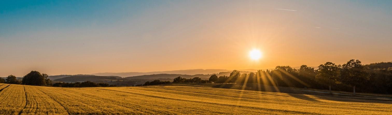 Sunset over hay field