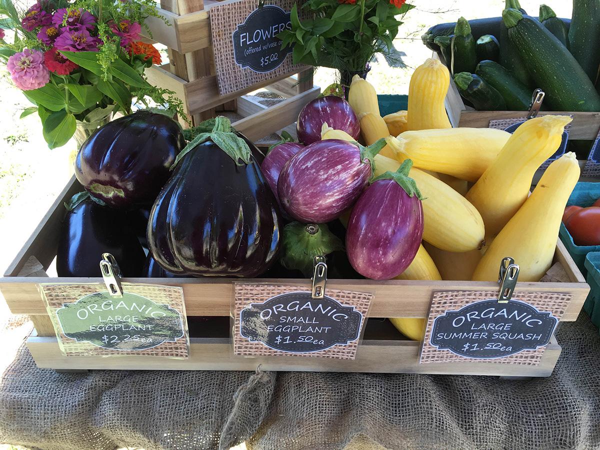 Farmers Markets