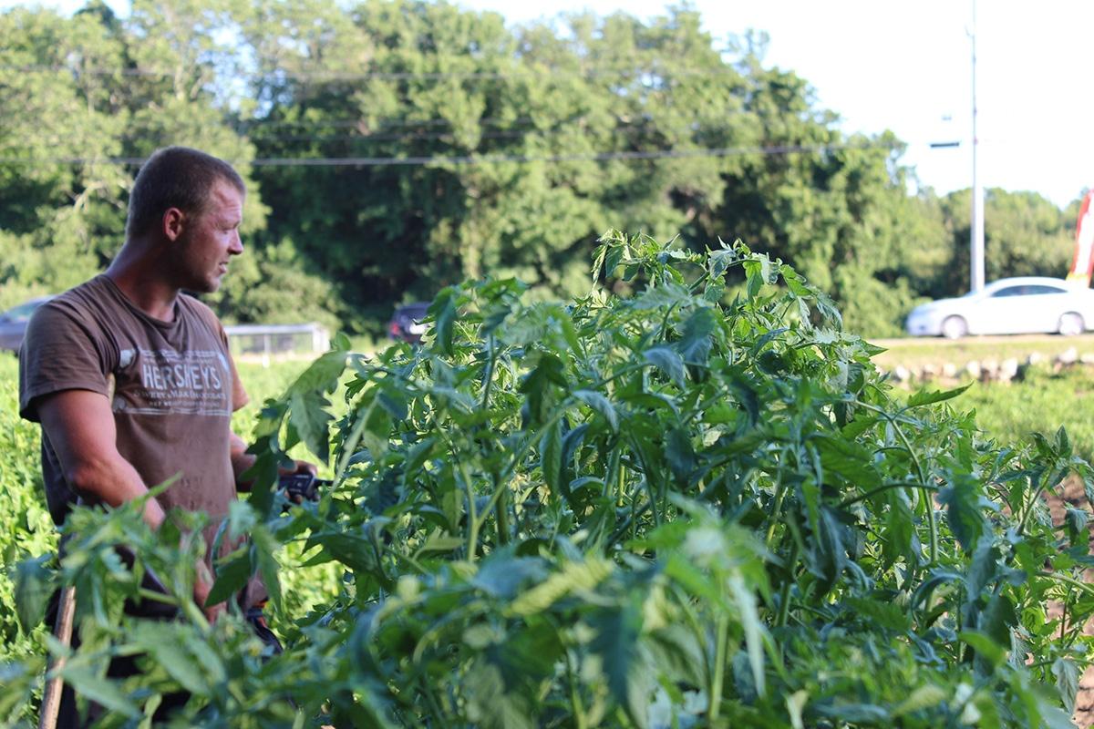 Farmers
