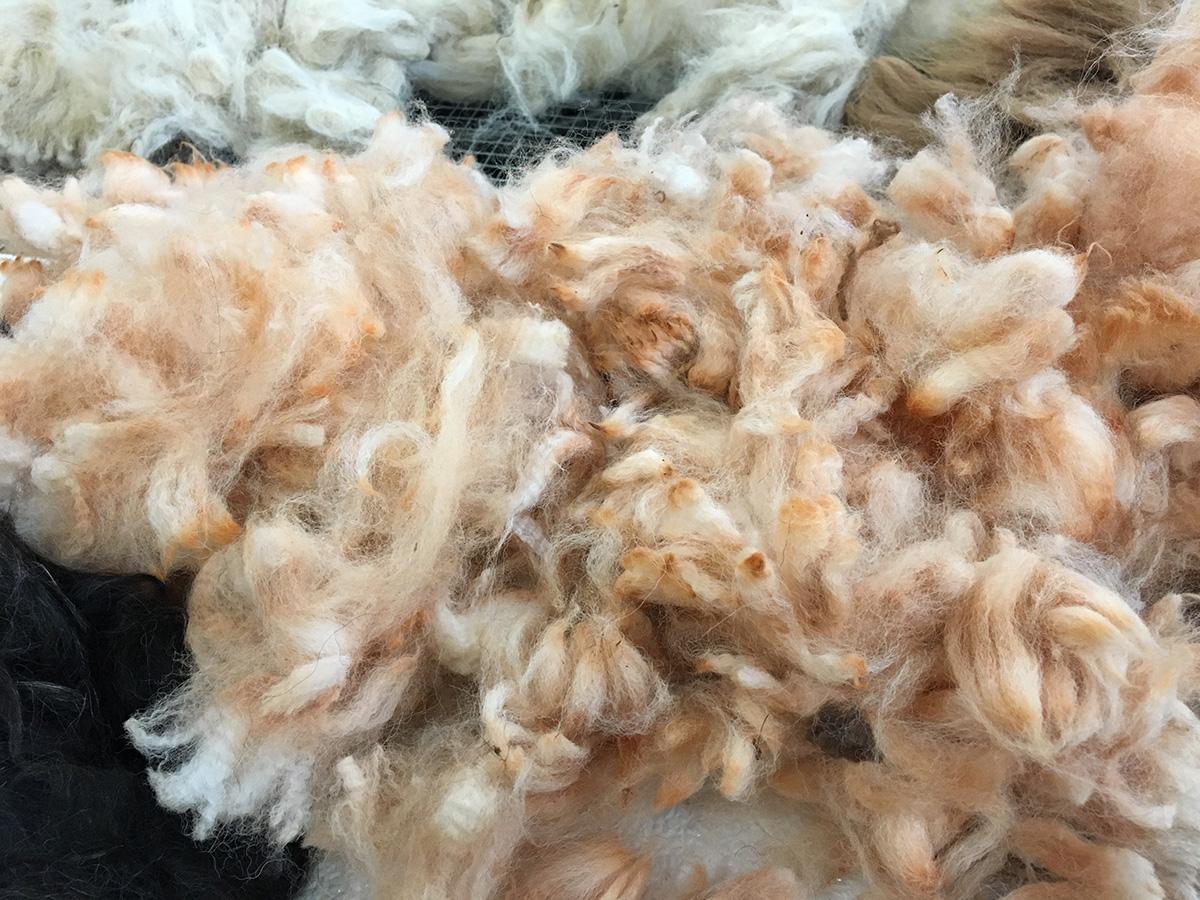 Fiber