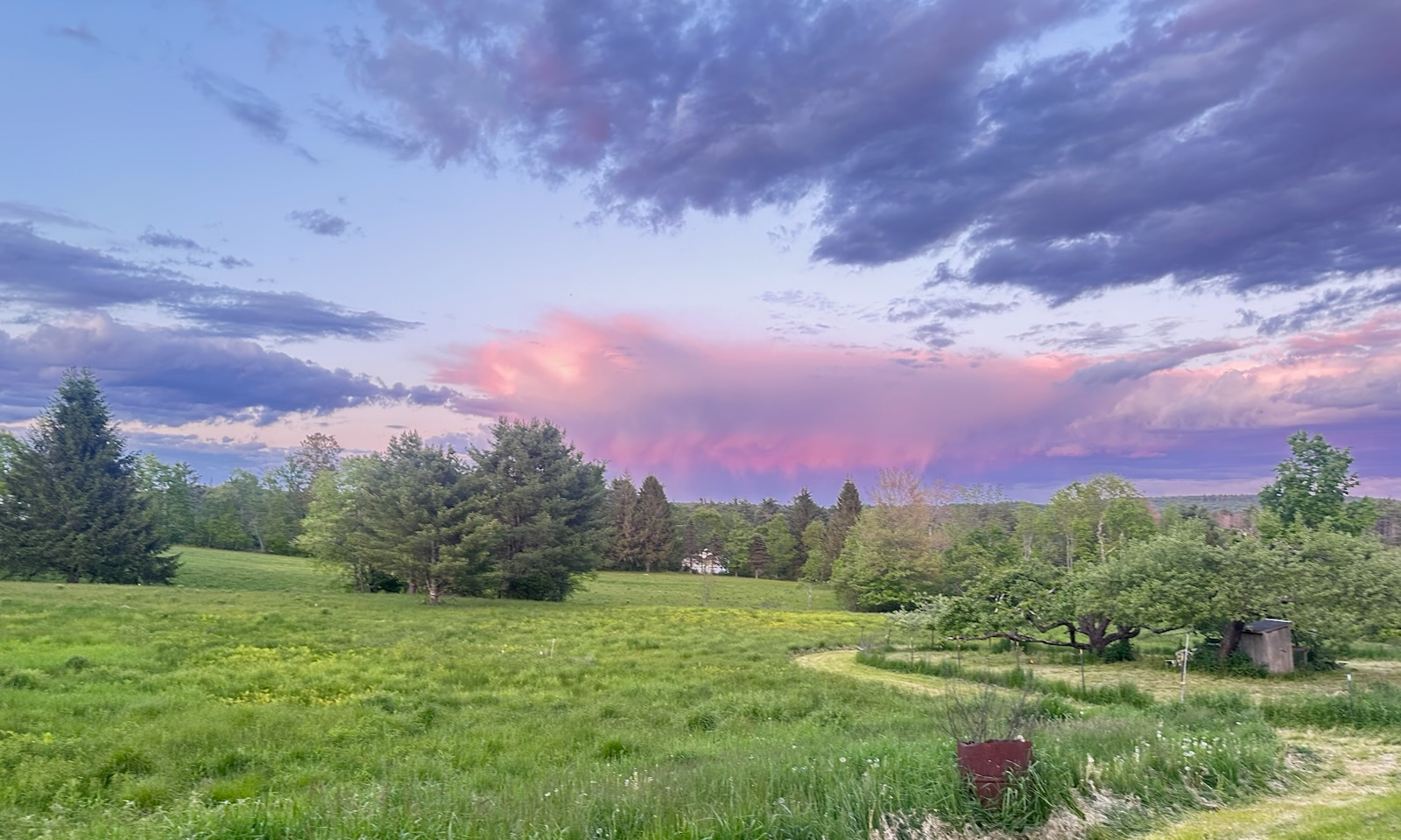 A beautiful orchard landscape with a pink and mauve sky