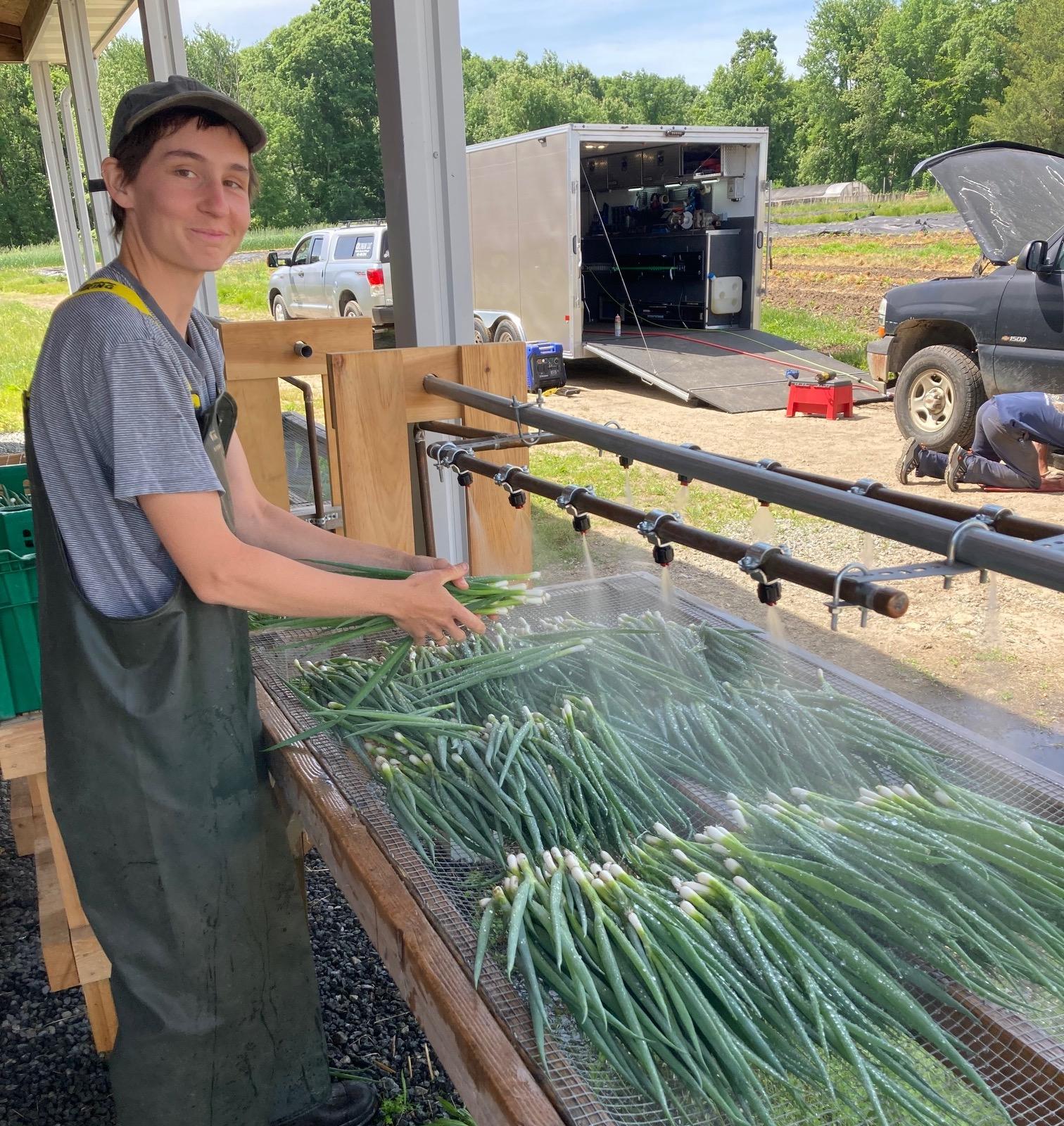 A farmer washing scallions and smiling at the camera