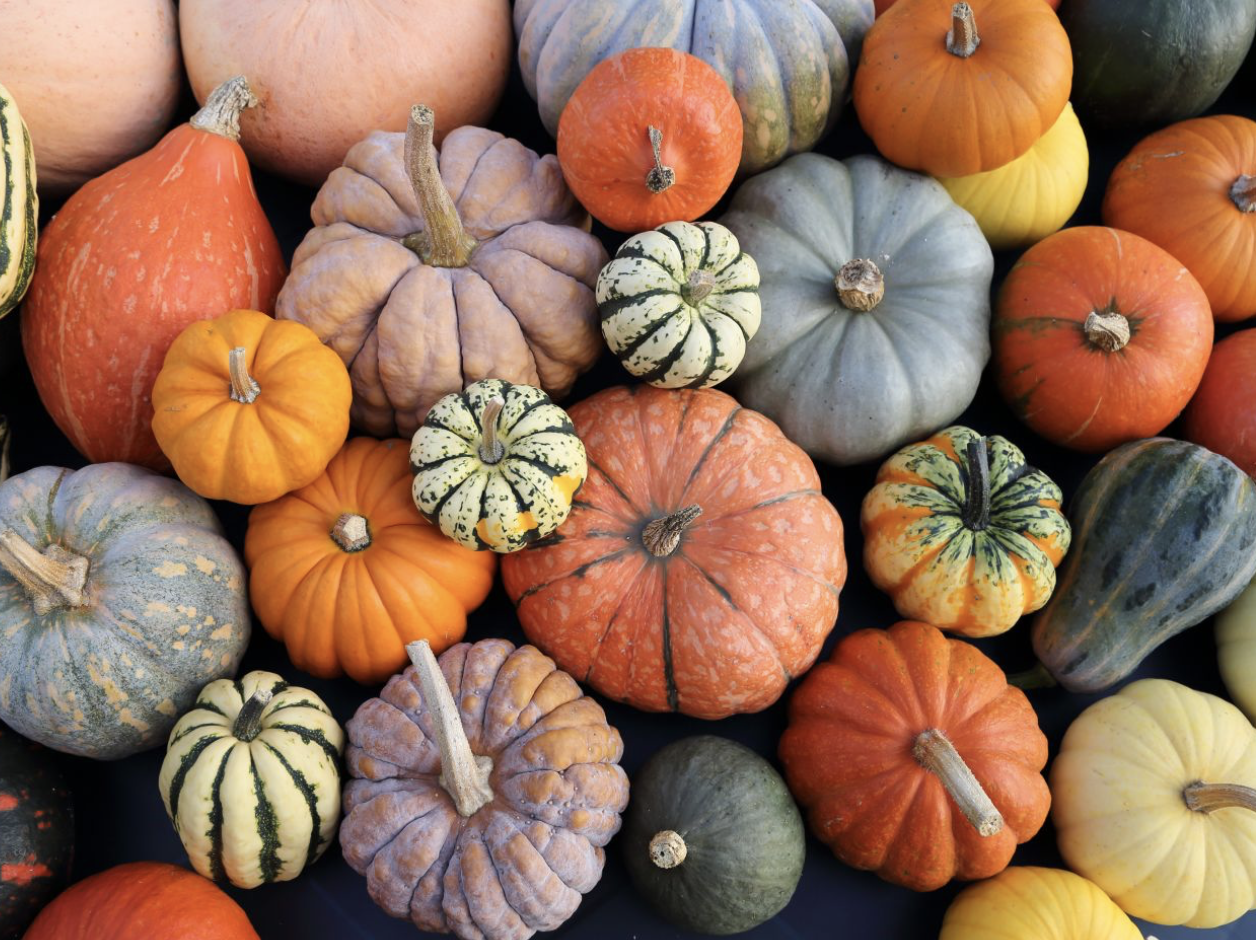 PumpkinsFall