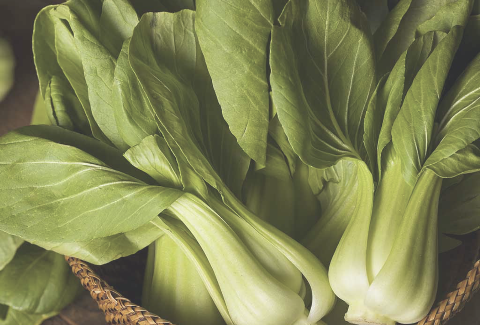 BokChoy