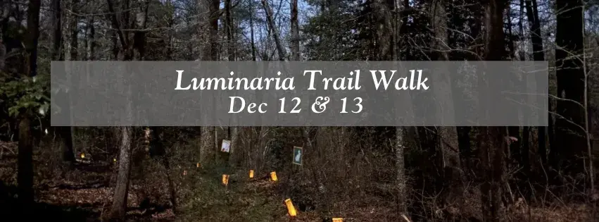 Luminaria Trail Walk Banner