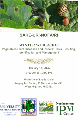 Pest and Disease workshop flyer