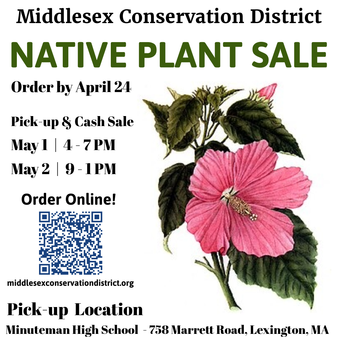 Middlesex Conservation District Native Plant Sale image