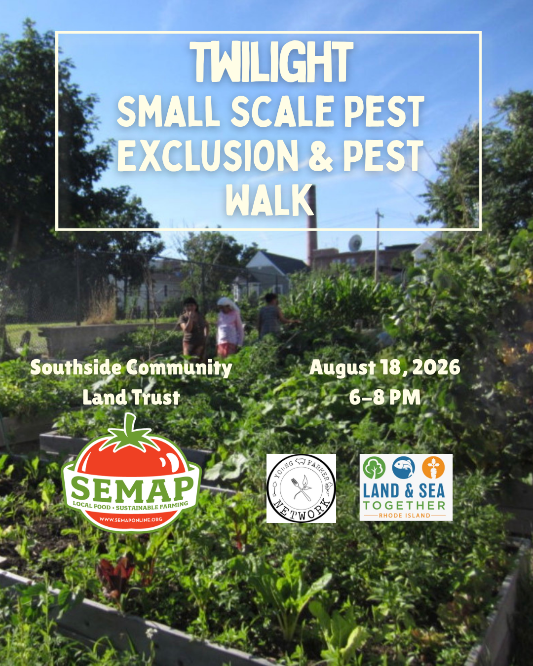 Small Scale Pests