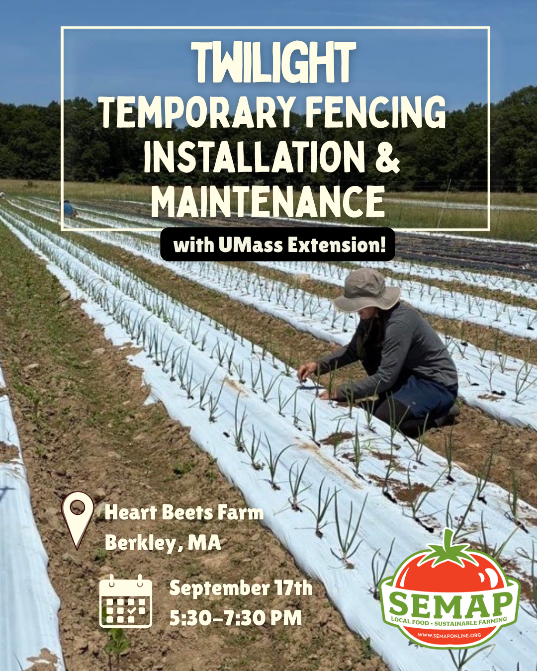 Temp fencing 