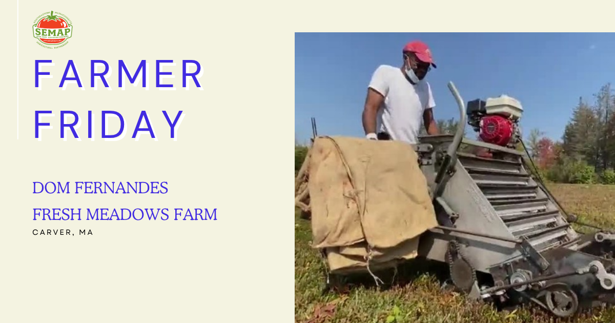 Fresh Meadows Farm banner