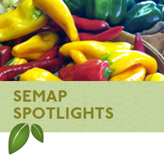 SEMAP Spotlights