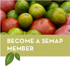 Become a SEMAP Member